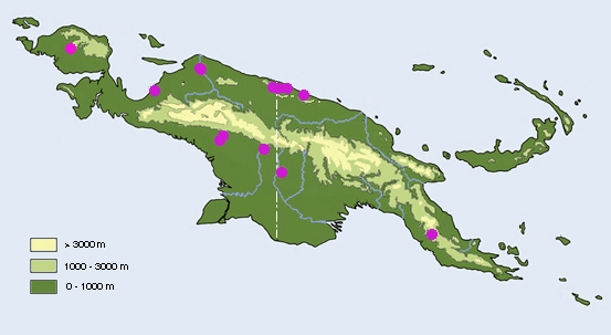 S.M. Distribution