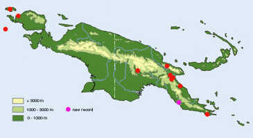 Map: Dendrobium cochliodes Schltr., distribution map, redrawn from P. Cribb, Kew Bull. 41 (1986) 650, map 5, with new record added.