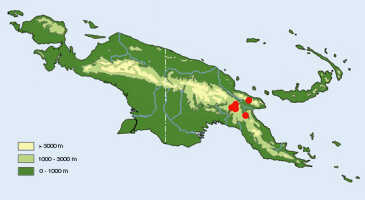 Map: Dendrobium crispilinguum P.J.Cribb, distribution map, redrawn from P. Cribb, Kew Bull. 41 (1986) 658, map 6.